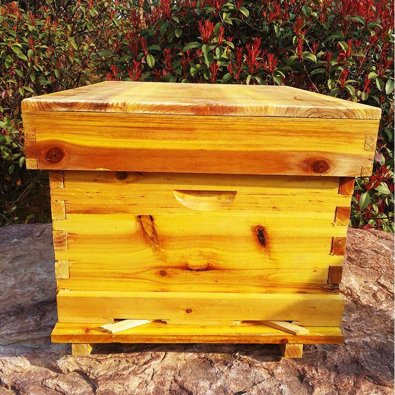 Bee beehive Full set of beekee - Beehive Frame Wax 评论和价格