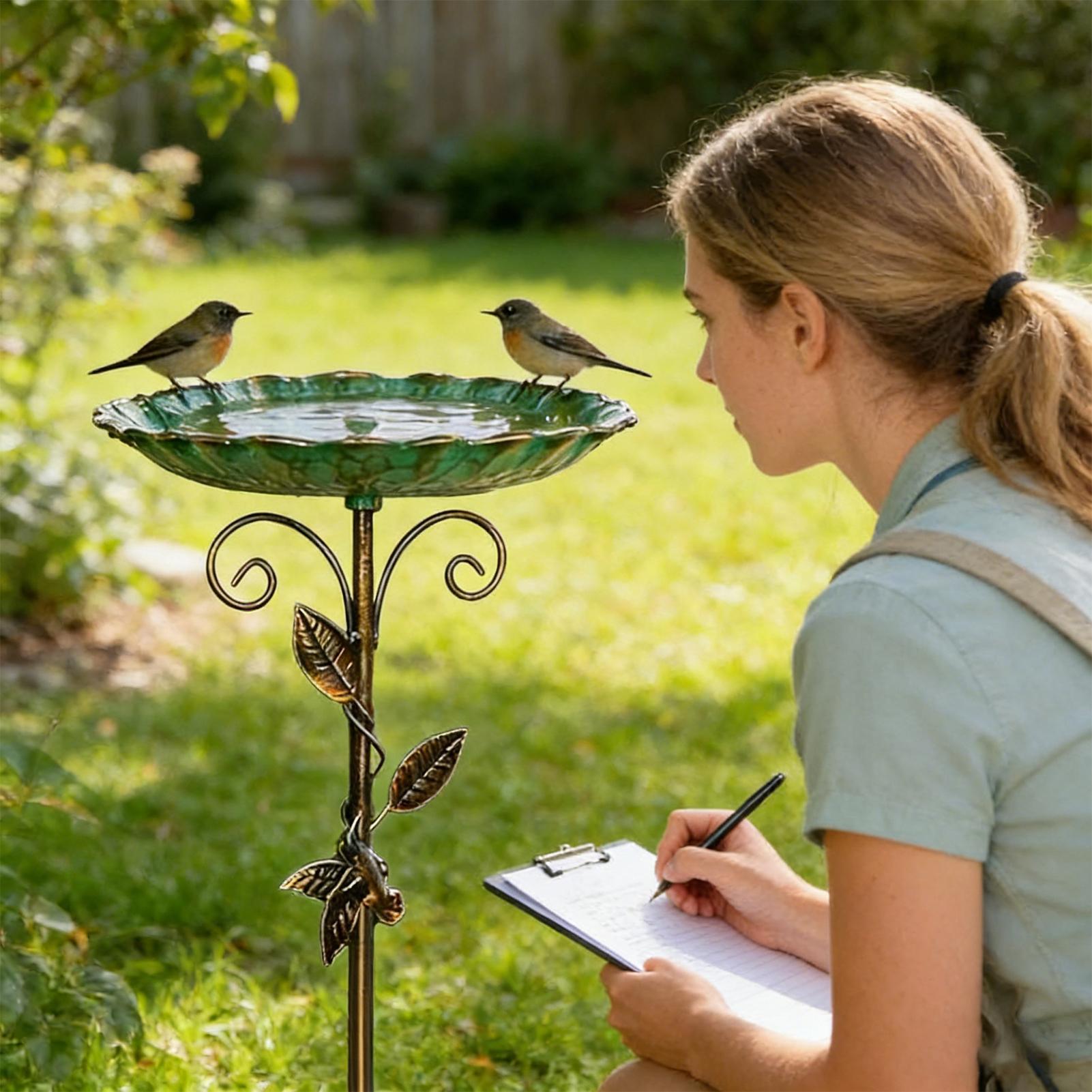 Bird Baths for Outdoors 30 inc - Farming And Agriculture 评论和价格